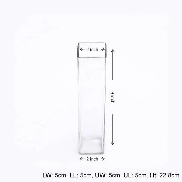 2 inch (5 cm) Square Glass Vase (9 inch (23 cm) Height)