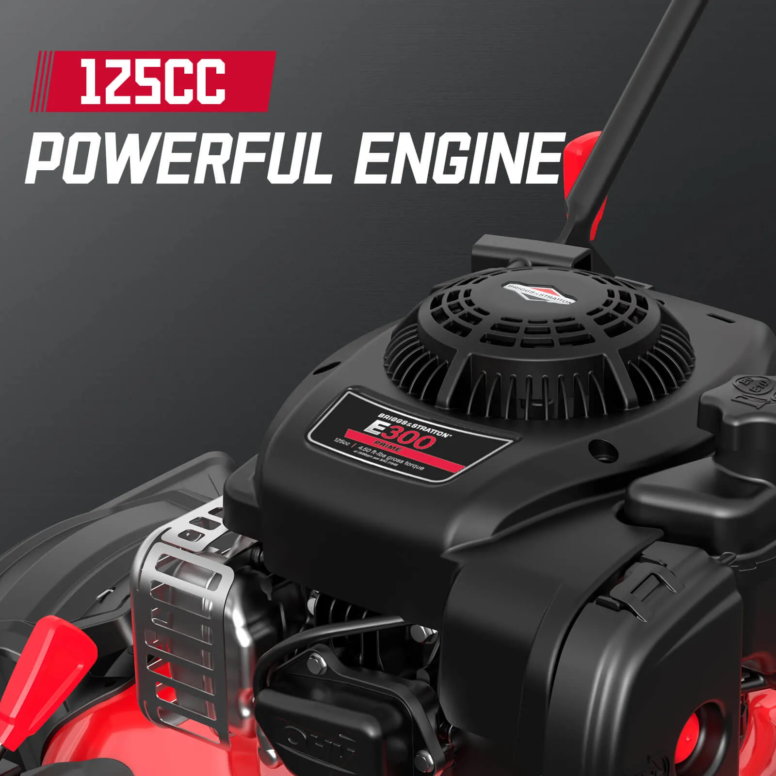21" 125cc Gas Push 2-1 Lawn Mower w/ B&S 300E Engine B8721C