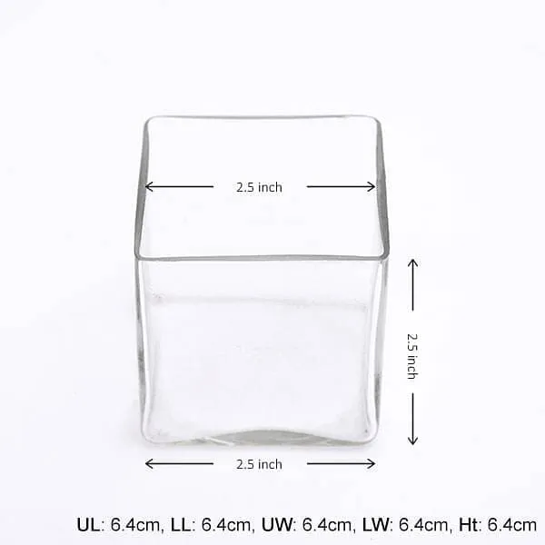 2.5 inch (6 cm) Square Glass Vase