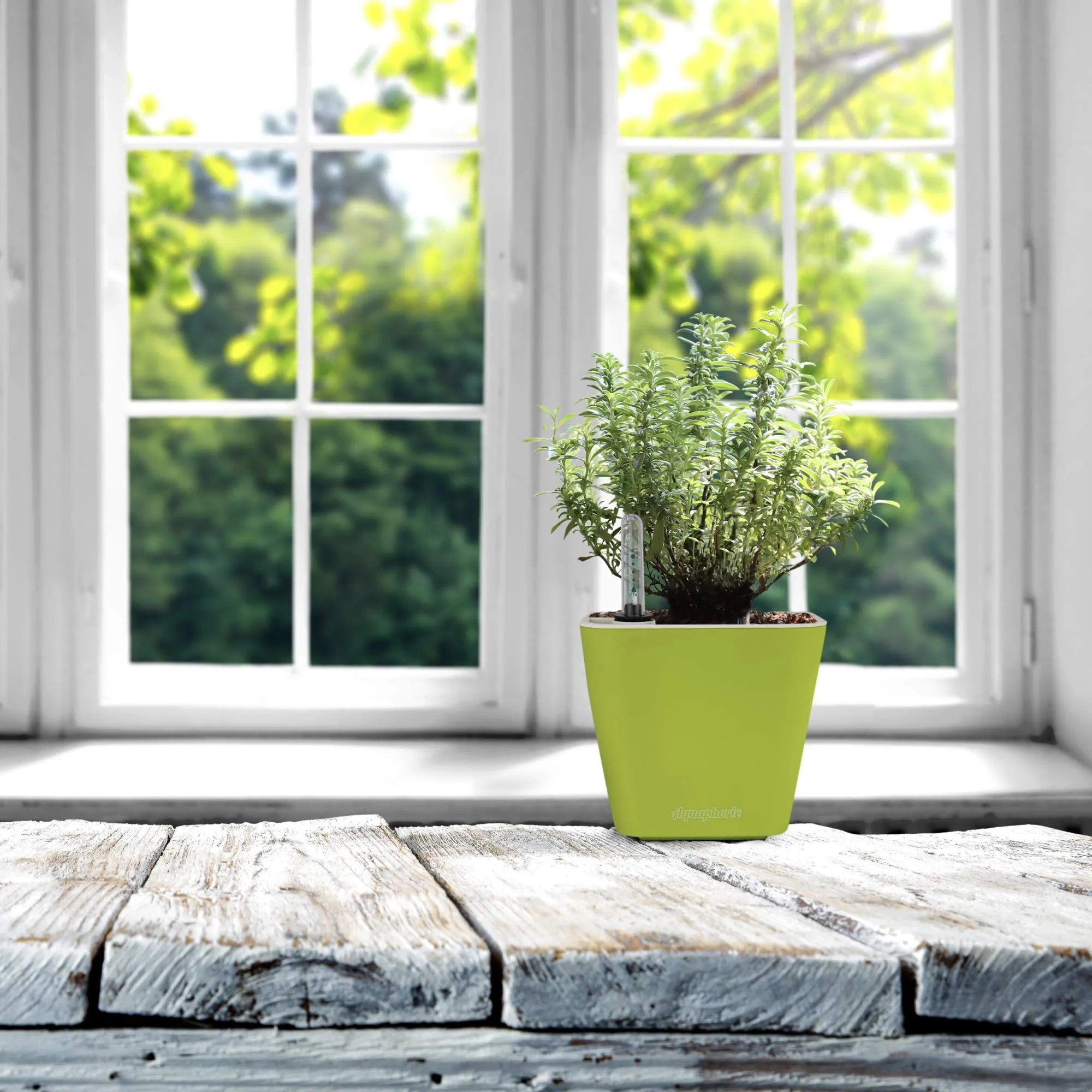 Aquaphoric Self Watering Planter (5)   Fiber Soil  Foolproof Indoor Home Garden