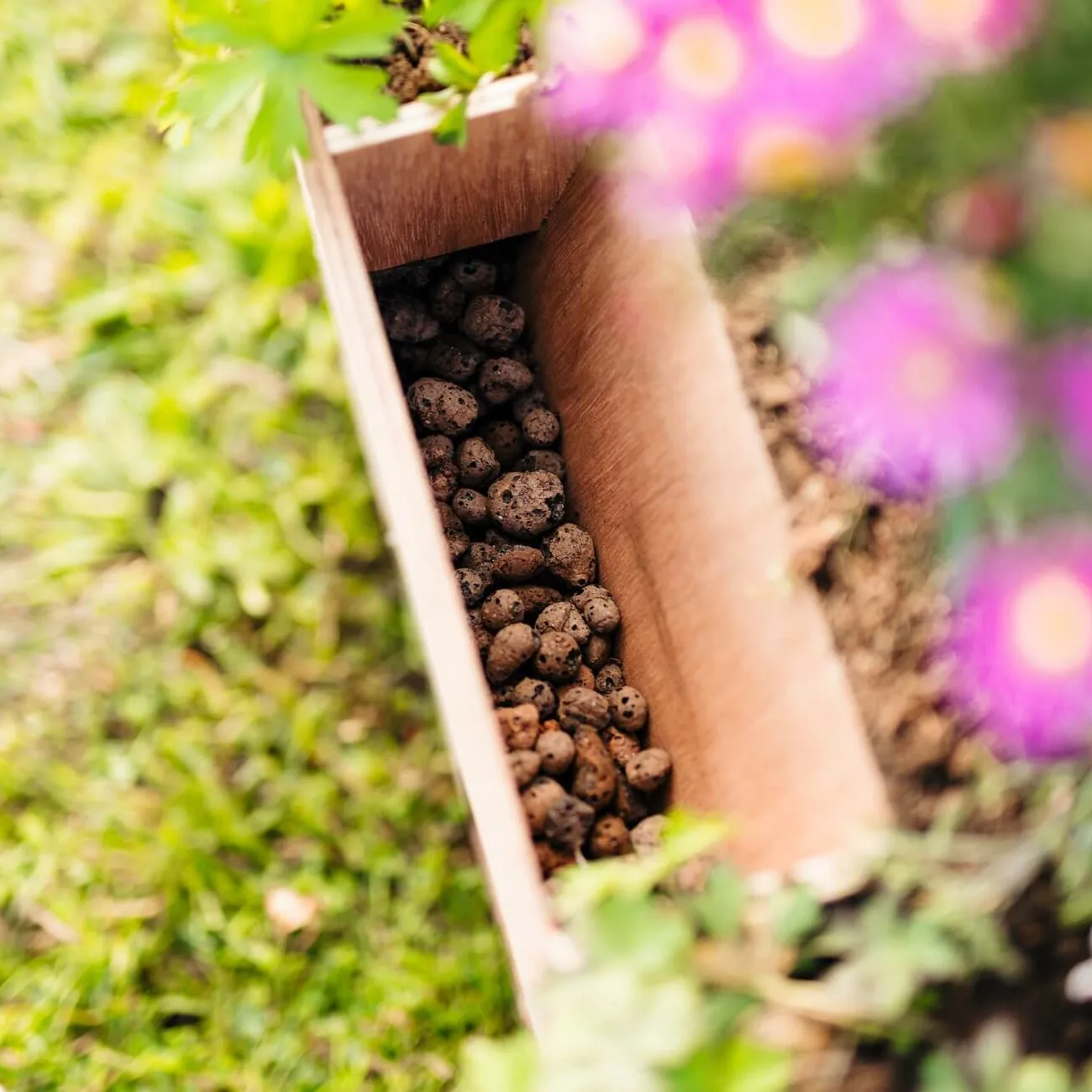 Bioscapes WildPod Mini Wildlife Planter