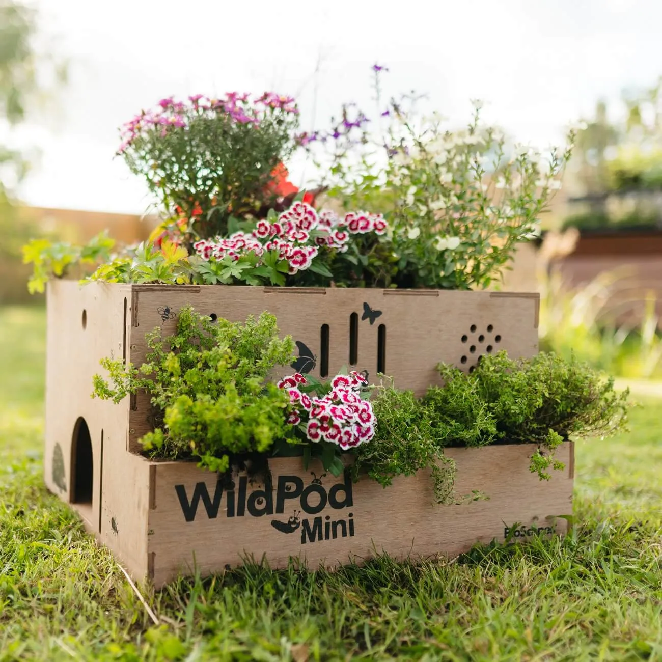 Bioscapes WildPod Mini Wildlife Planter