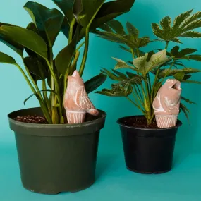 Bird Frog Terracotta Watering Stake Set