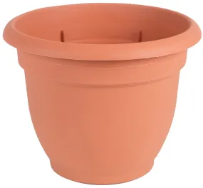 Bloem 20-56106 Planter, 6 in Dia, 5-1/4 in H, 6-1/2 in W, Round, Plastic, Terra Cotta :EA: QUANTITY: 10