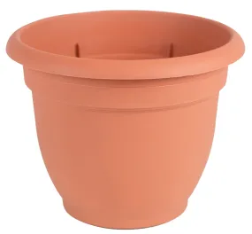 Bloem 20-56112 Planter, 12 in Dia, 10-1/4 in H, 13 in W, Round, Plastic, Terra Cotta :EA: QUANTITY: 1