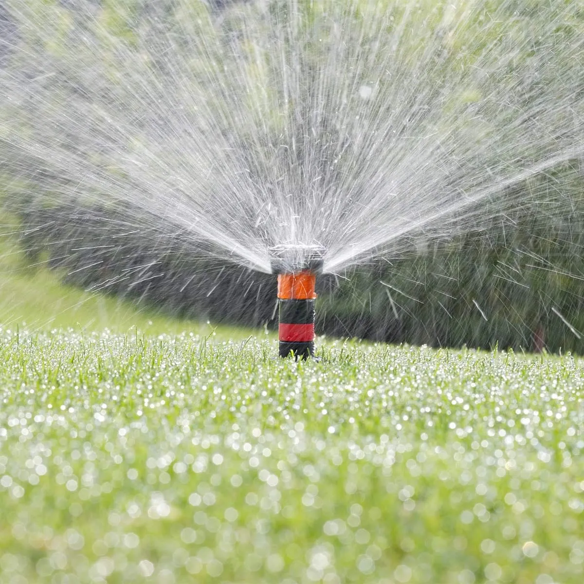Claber Colibri 180° Pop-Up Sprinkler - 90220