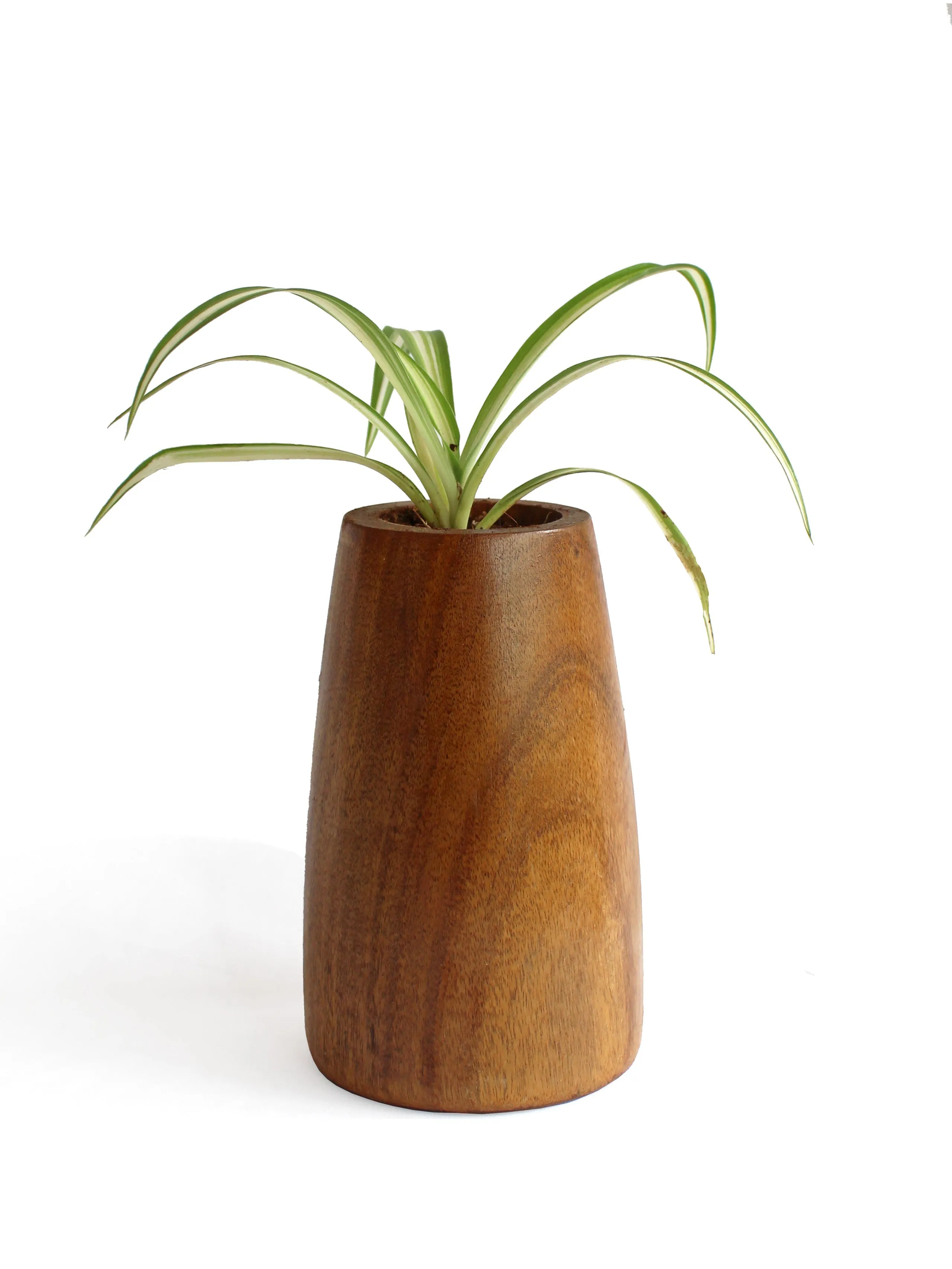 Conical Planter