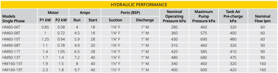 Davey HM90 Series Horizontal Multistage Pressure Pump with Torrium2 Controller (Max 120LPM/690kPa)
