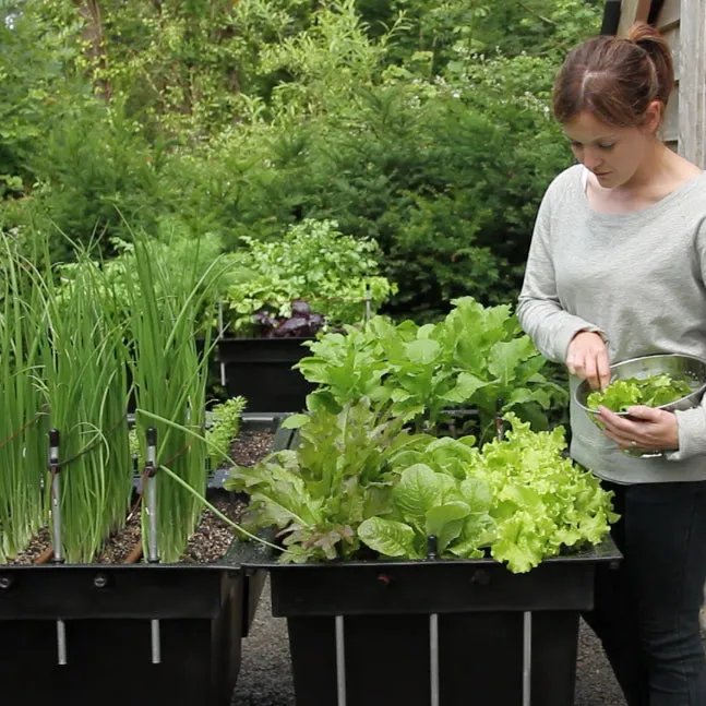 Ergrownomics - Four Square Planter Set