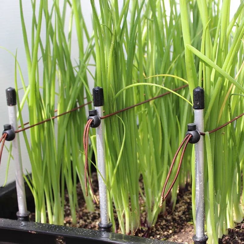 Ergrownomics - Two Planter Set