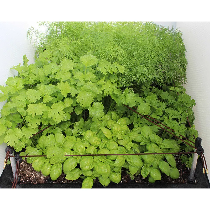 Ergrownomics - Two Planter Set