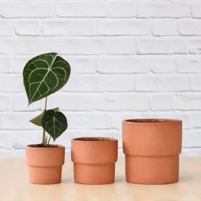 Flo Planter - Terracotta