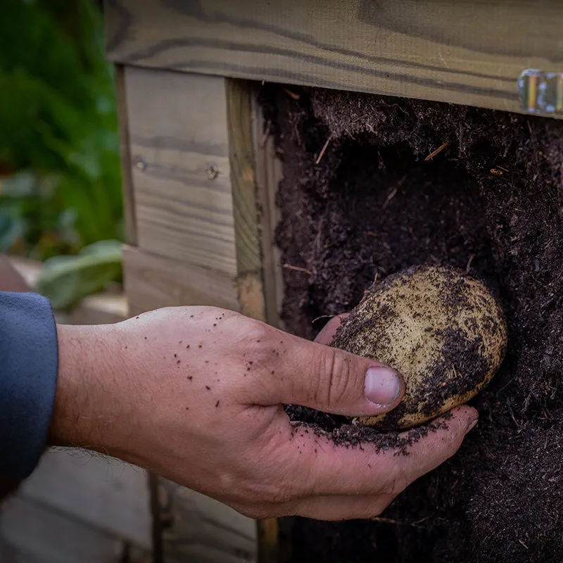 Forest Garden Wooden Potato Planter
