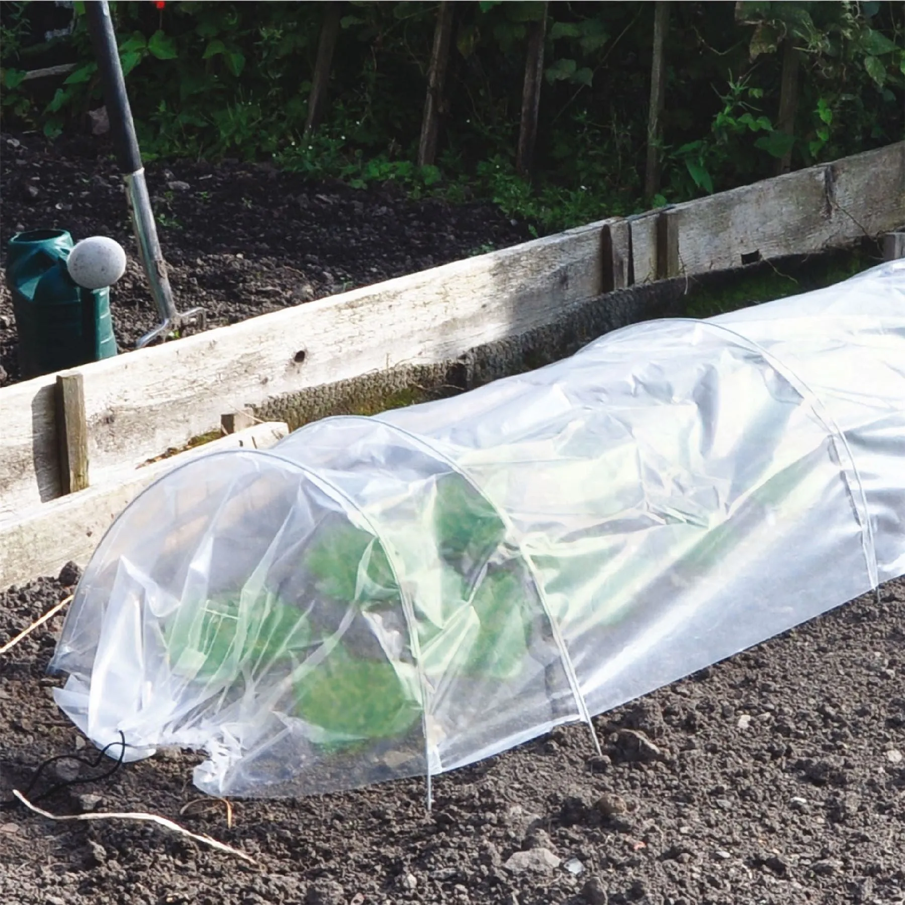 Greenhouse Polytunnel