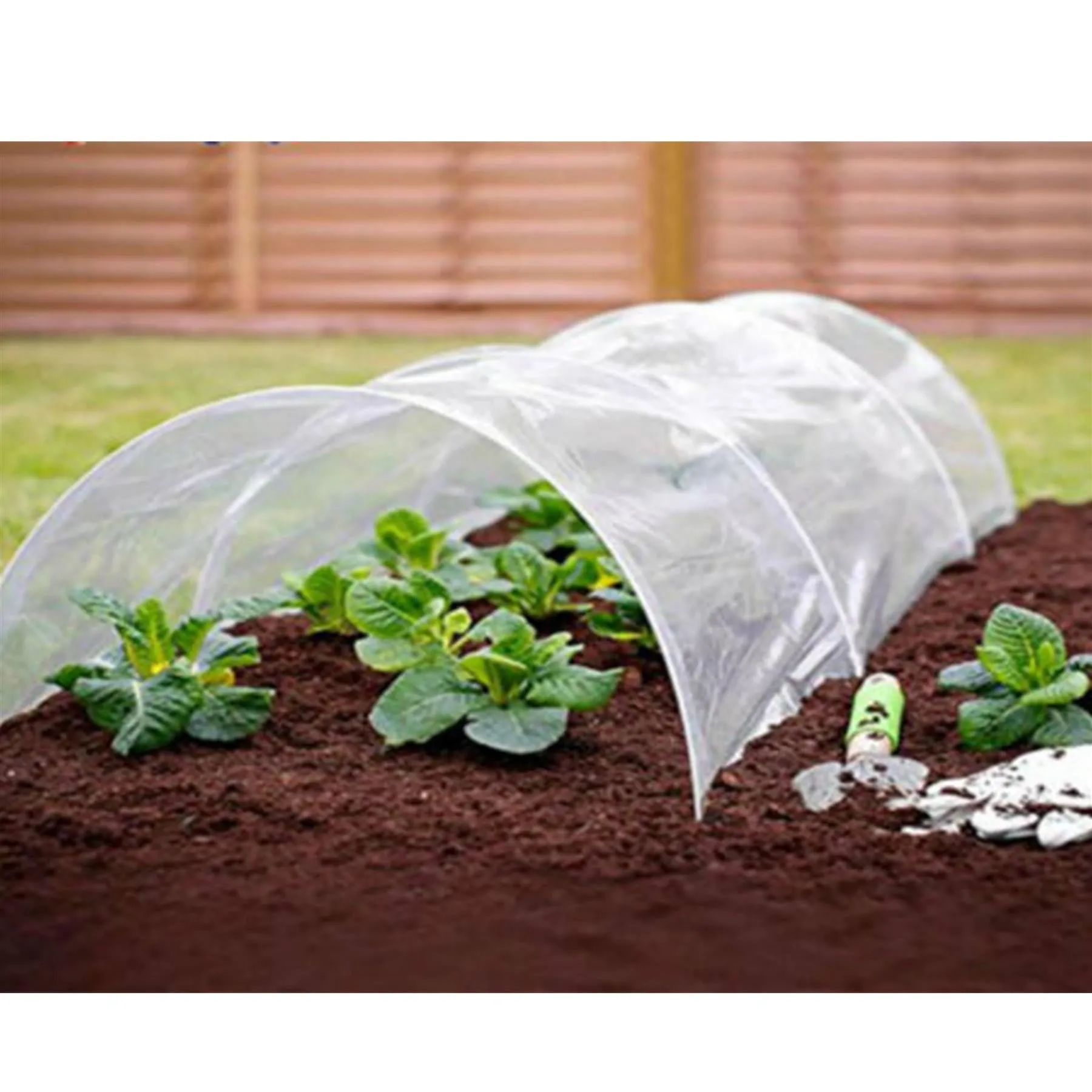 Greenhouse Polytunnel