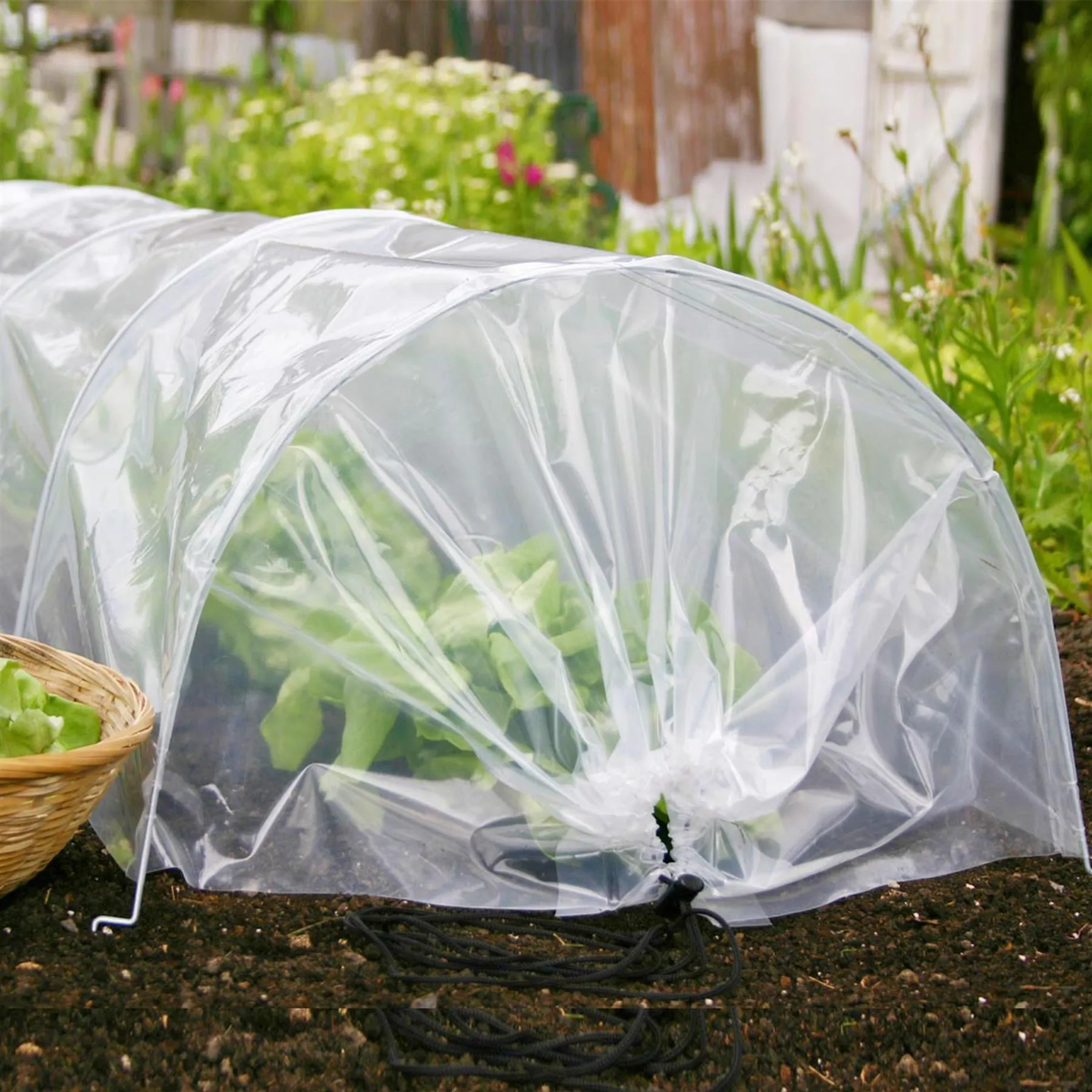 Greenhouse Polytunnel