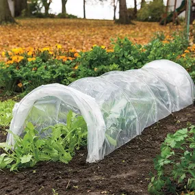 Greenhouse Polytunnel
