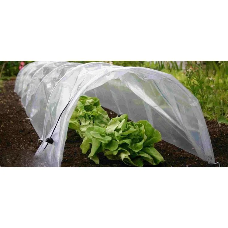 Greenhouse Polytunnel