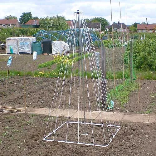 Growing Pole