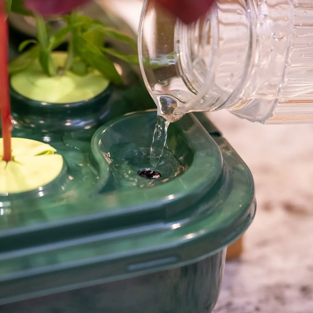 Heirloom Basin | 20L hydroponic basin with premium net cups