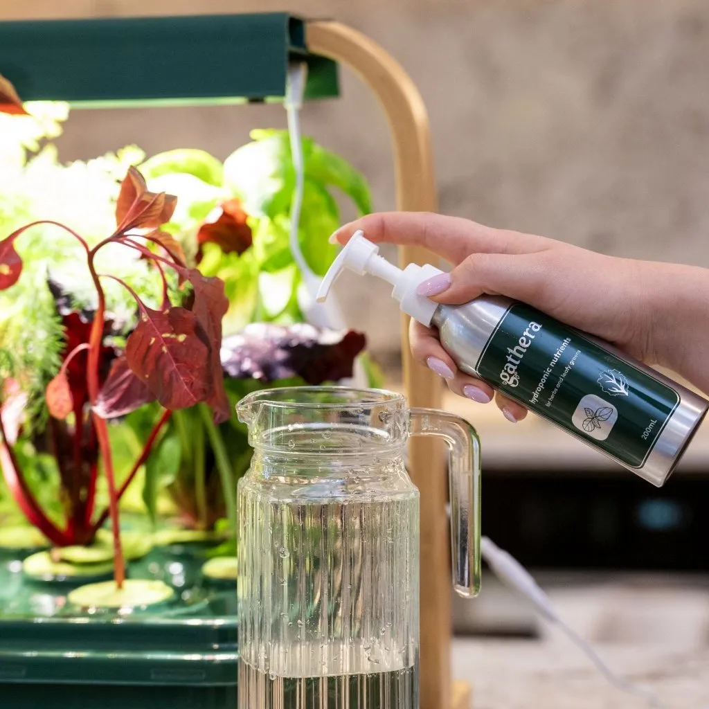 Heirloom Basin | 20L hydroponic basin with premium net cups