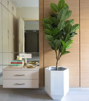 Hexa White 18 Planter