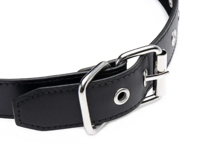 Interchangeable Silicone Ball Gag Set