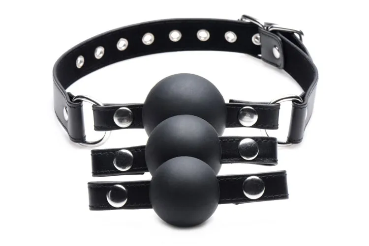 Interchangeable Silicone Ball Gag Set