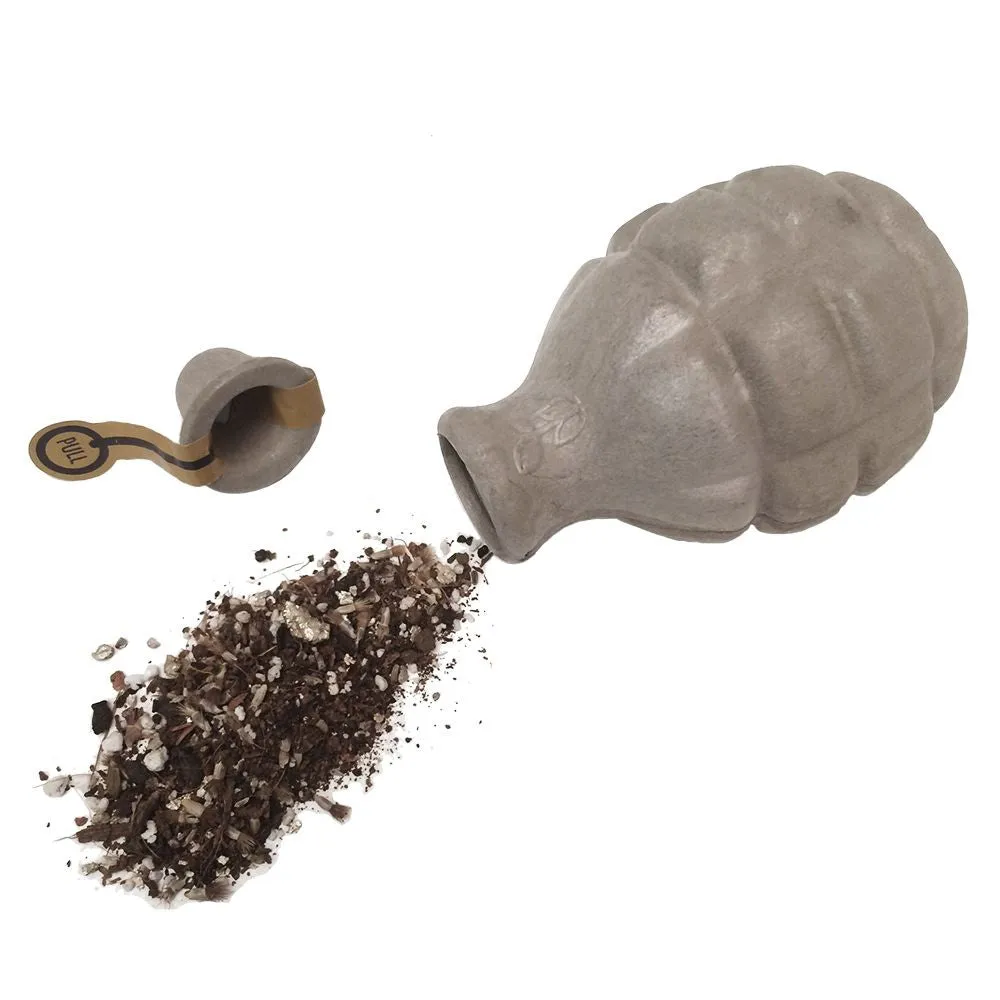 Kabloom Wilderbom Seedbom