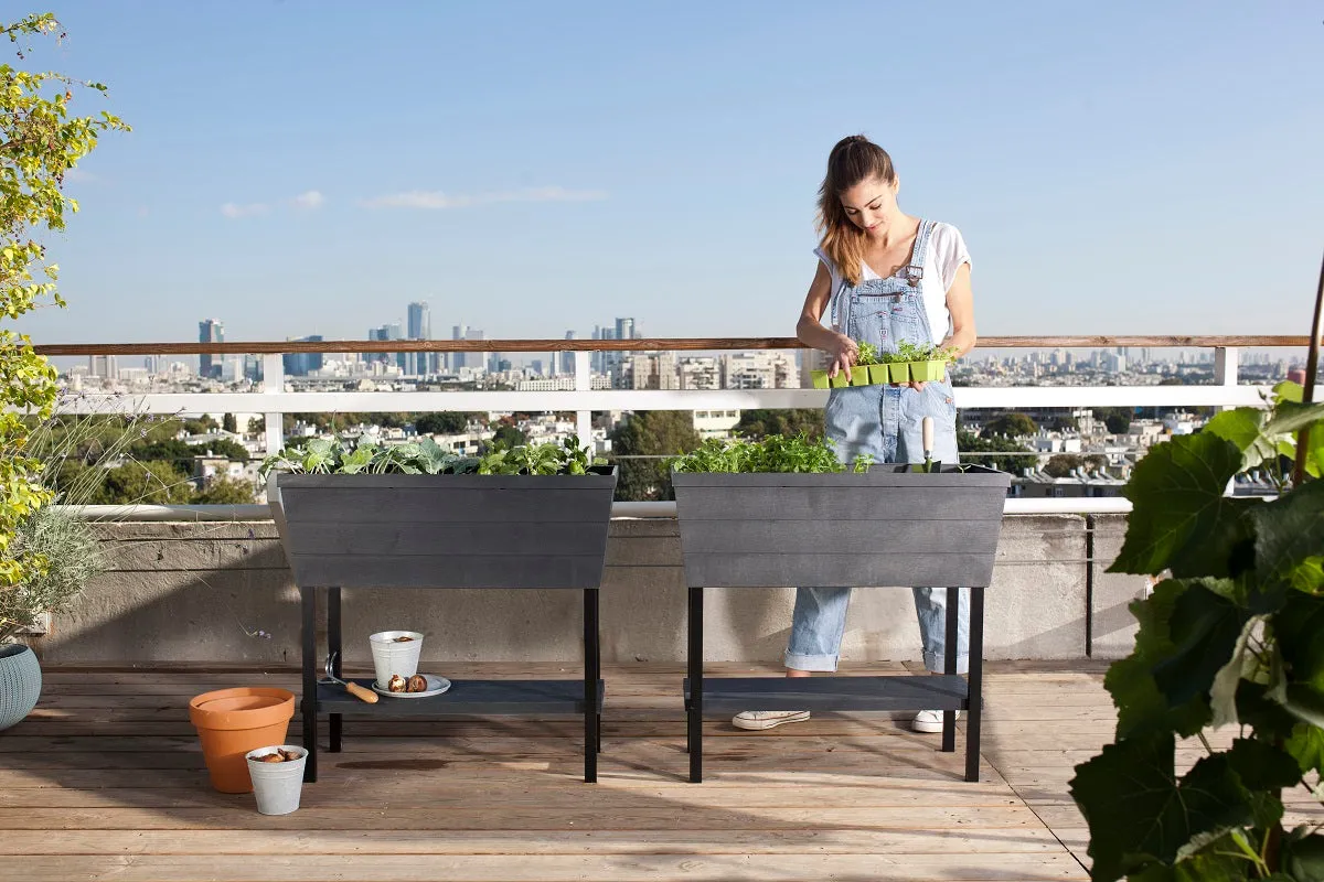 Keter Urban Bloomer