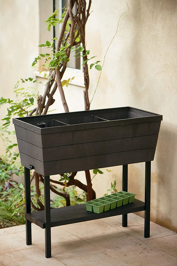 Keter Urban Bloomer