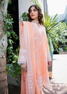 LAWN '23 VOL. 2 - LOOK 03 B