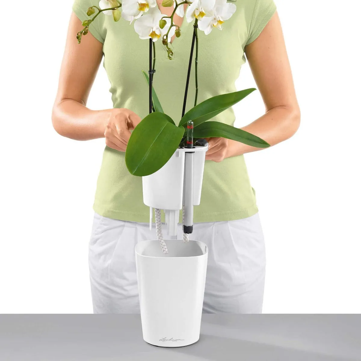 Lechuza Deltini Planter