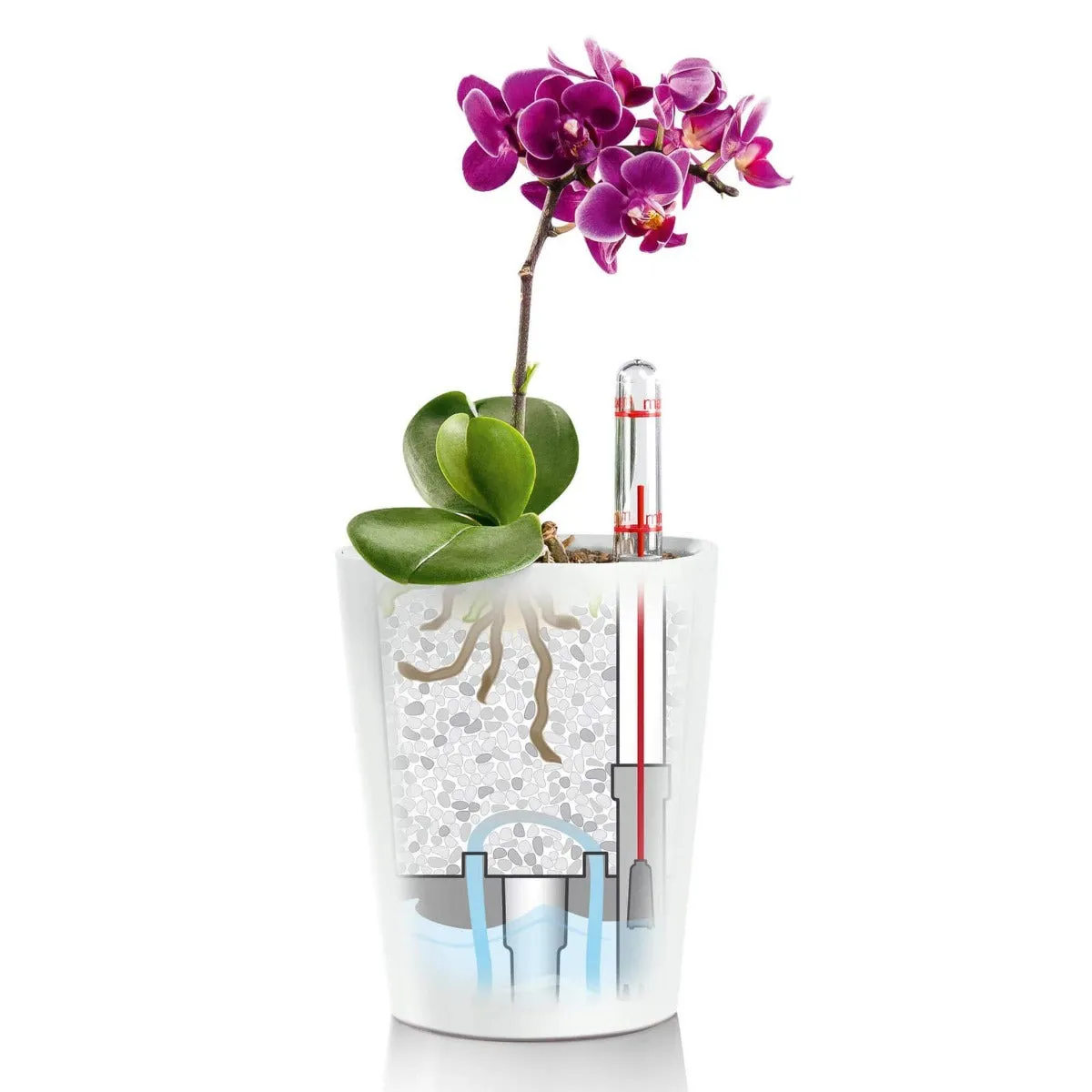 Lechuza Deltini Planter