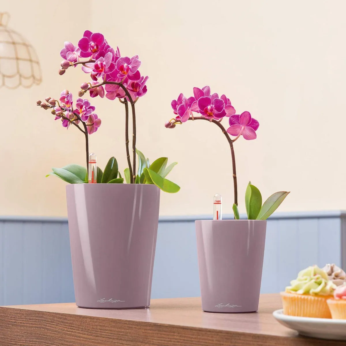 Lechuza Deltini Planter