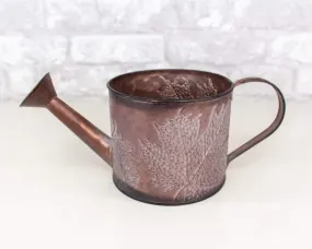 Metal Watering Can (Multiple Colors)