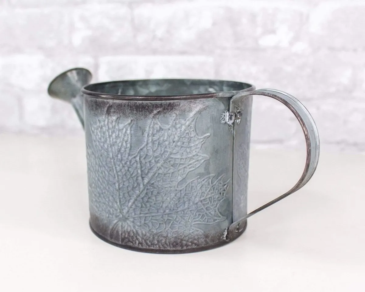 Metal Watering Can (Multiple Colors)