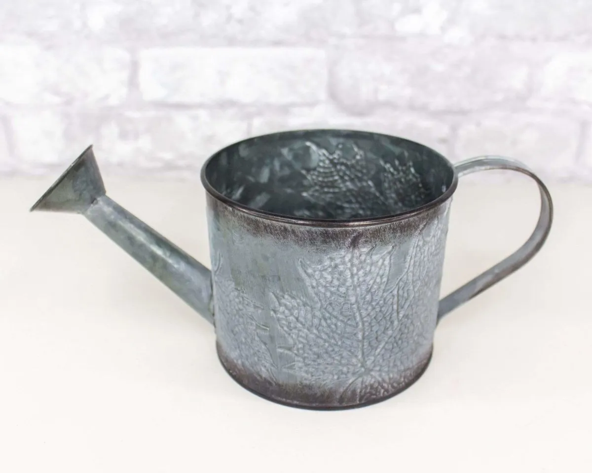 Metal Watering Can (Multiple Colors)