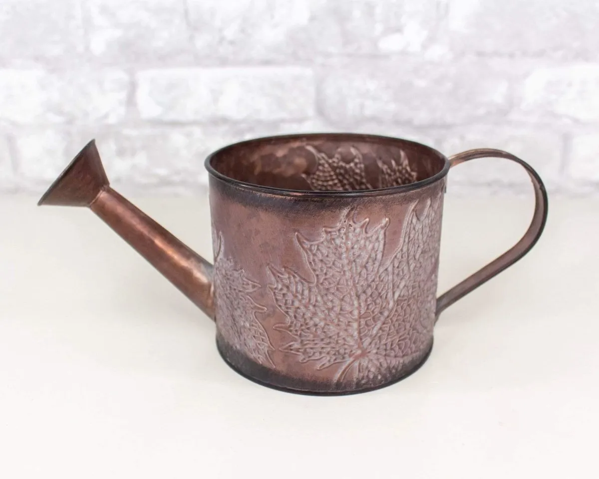 Metal Watering Can (Multiple Colors)