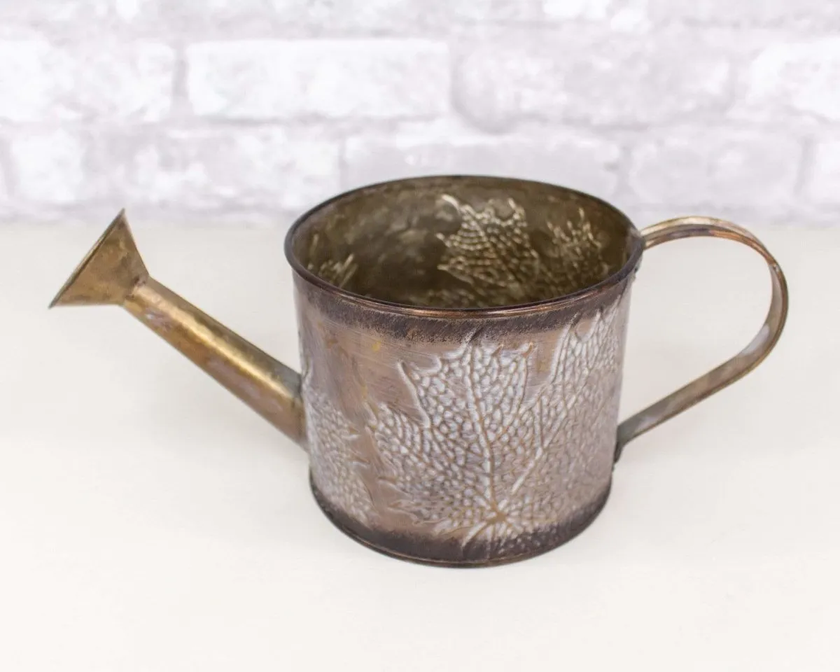 Metal Watering Can (Multiple Colors)
