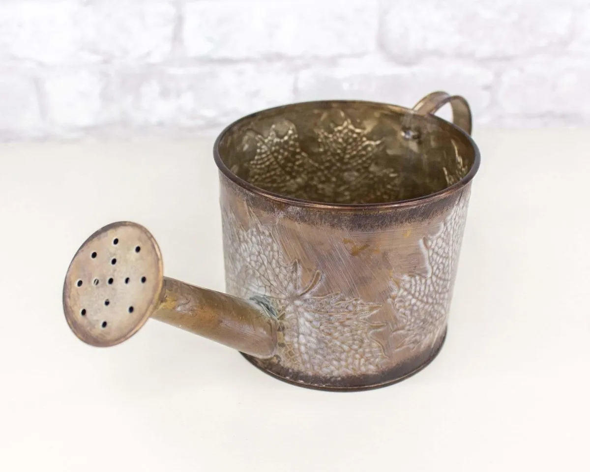 Metal Watering Can (Multiple Colors)