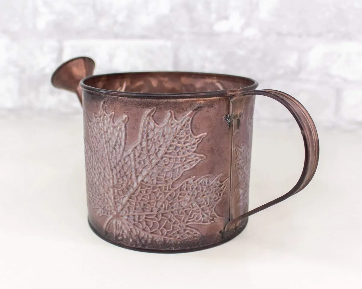 Metal Watering Can (Multiple Colors)
