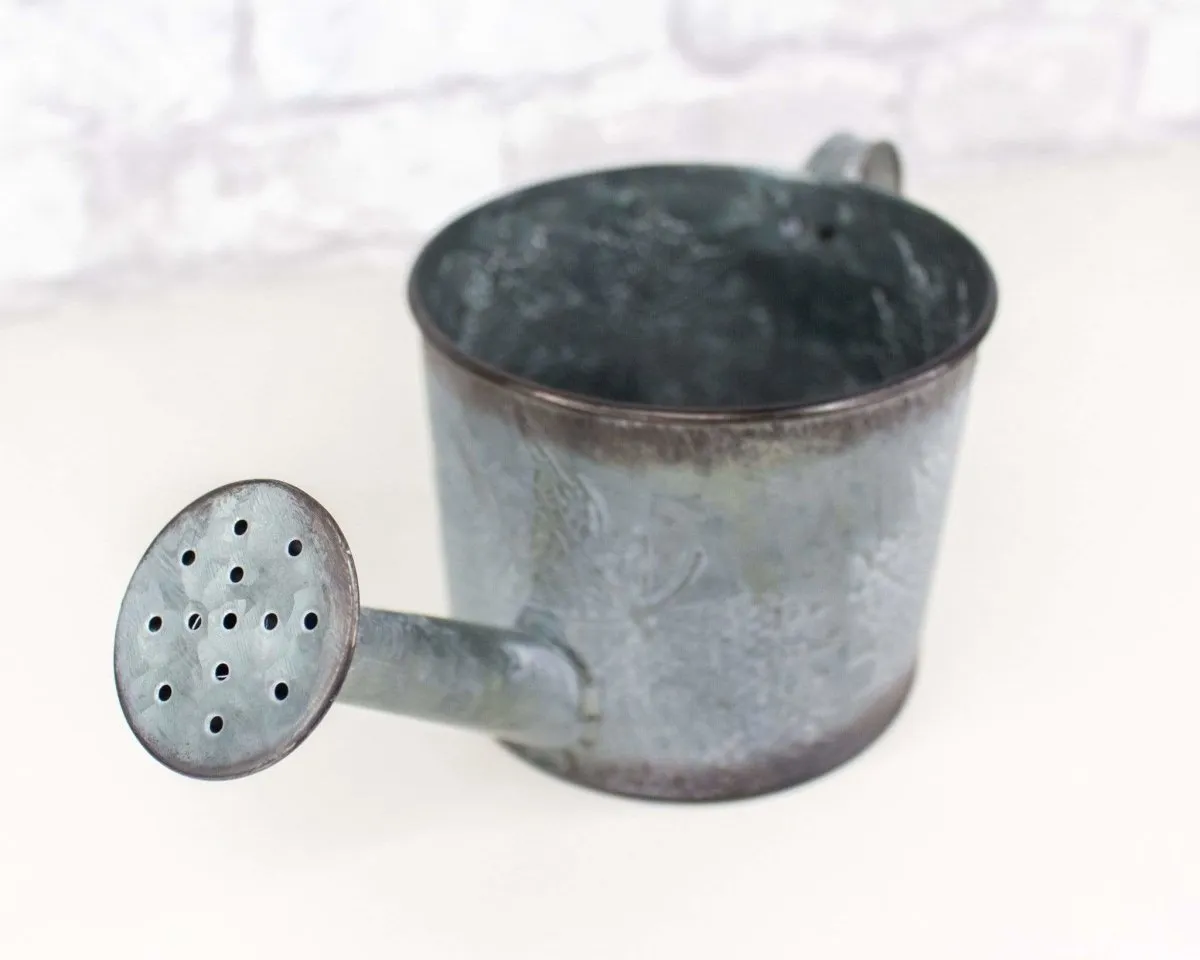 Metal Watering Can (Multiple Colors)