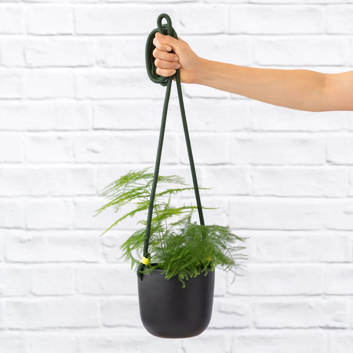 Moon Hanging Planter - Black