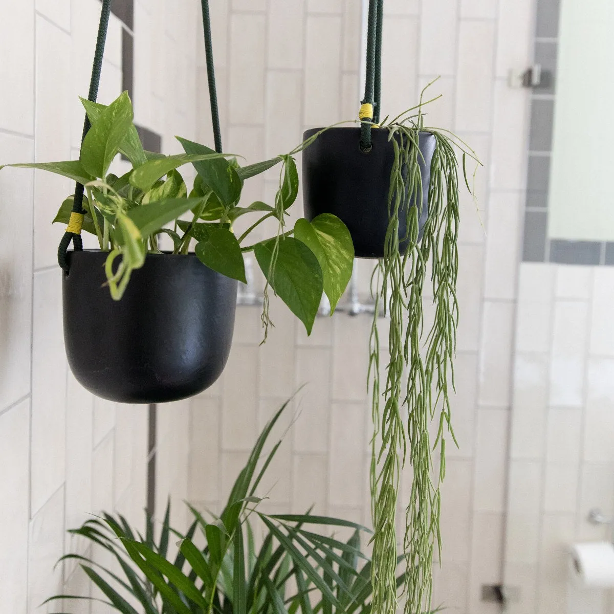 Moon Hanging Planter - Black
