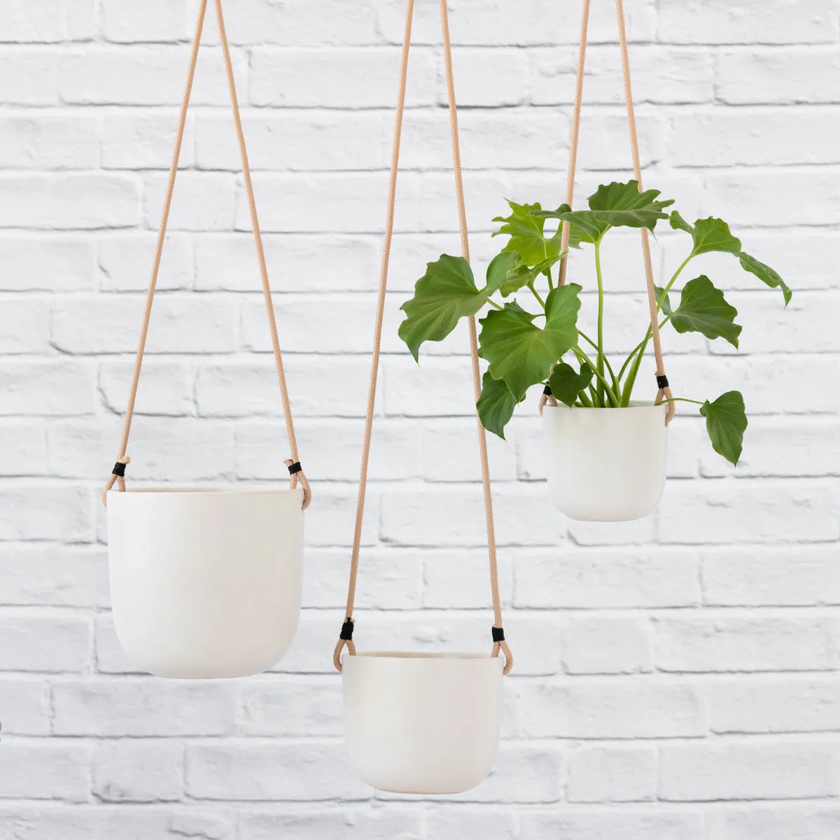 Moon Hanging Planter - White