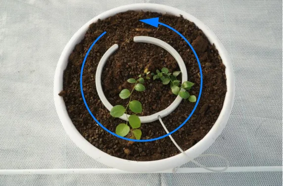 Netafim Netbow Watering Ring