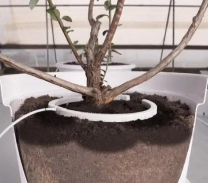 Netafim Netbow Watering Ring