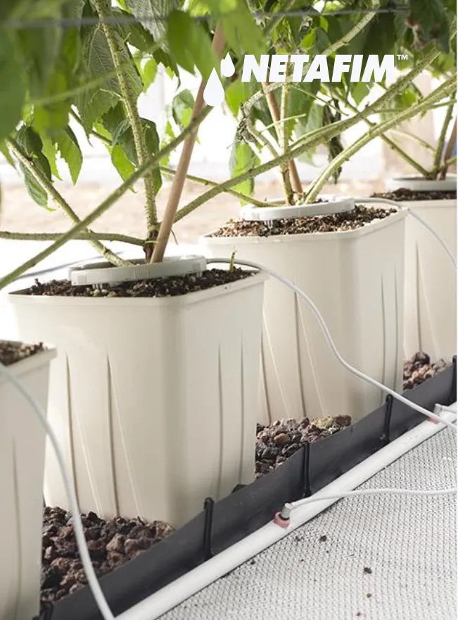 Netafim Netbow Watering Ring