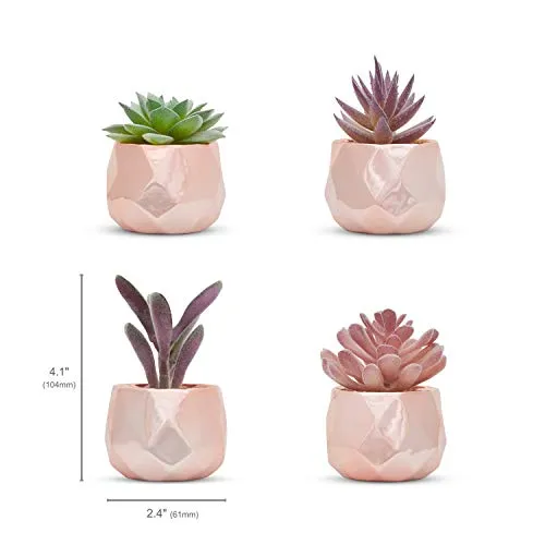 Nordik Set of 4 Desk Plants in Rose Gold  Pink Faux